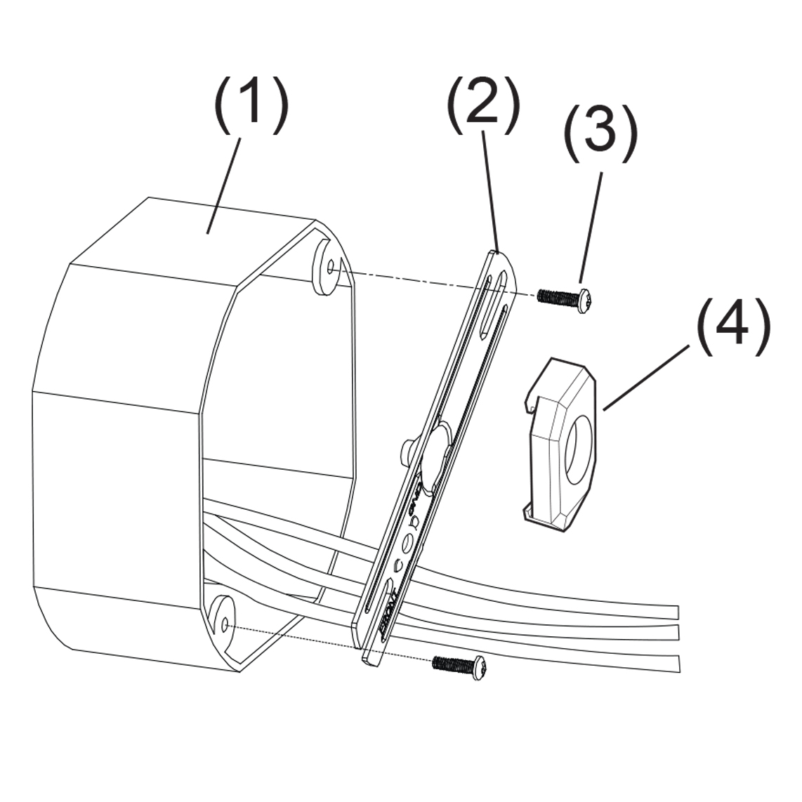 Image1.jpg