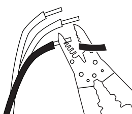 Image6.png